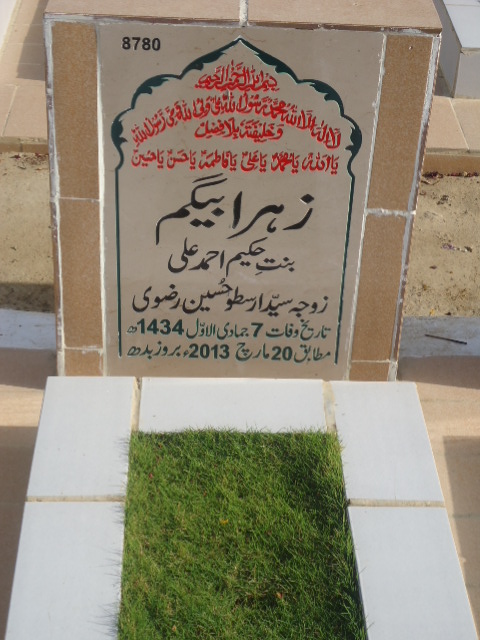 8780 – Zehra Begum Rizvi