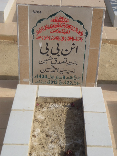 8784 – Unnan Bibi