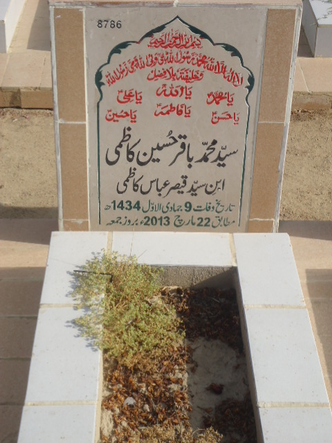 8786 – Syed Mohd Baqar Hussain Kazmi