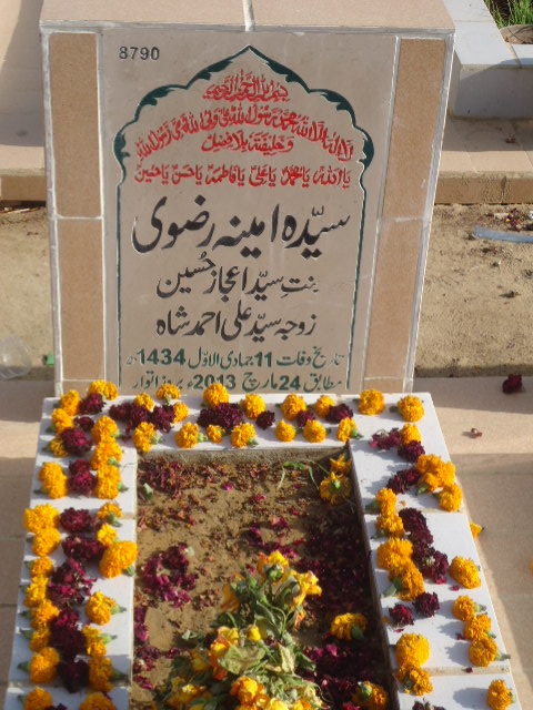 8790 – Syeda Ameena Rizvi