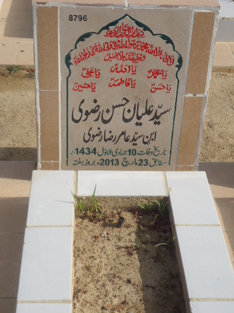 8796 – Syed Aliyan Hasan Rizvi