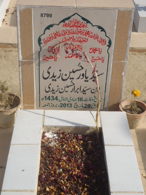 8799 – Syed Yawar Hussain Zaidi