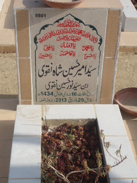 8801 – Syed Ameer Hussain Shah Naqvi