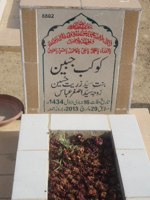 8802 – Kokab Jabeen