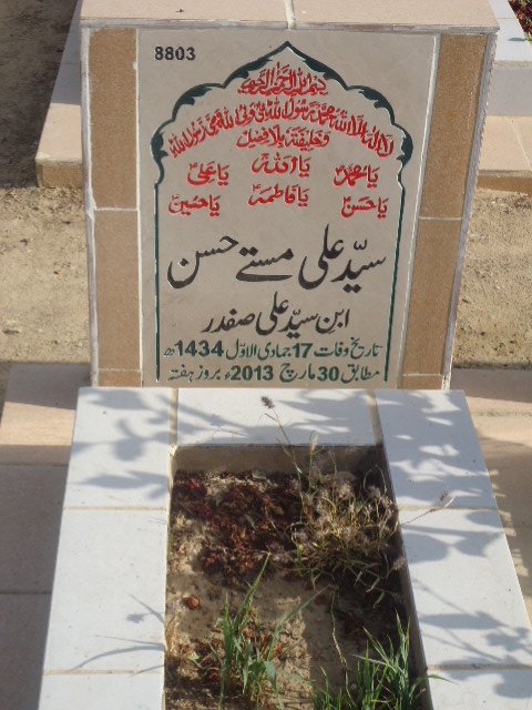 8803 – Syed Ali Mastay Hasan