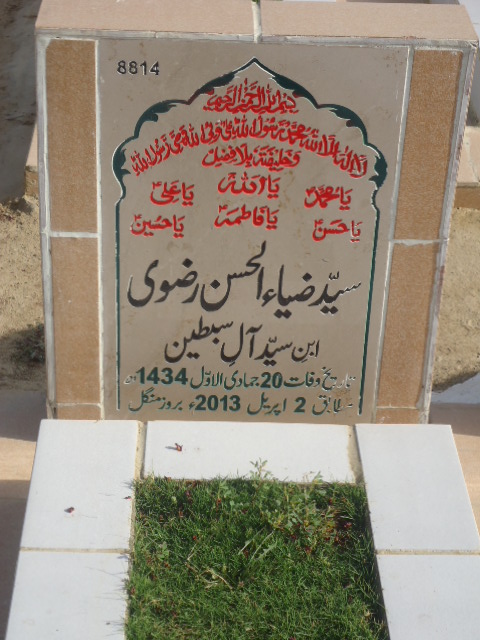 8814 – Syed Zia Ul Hasan