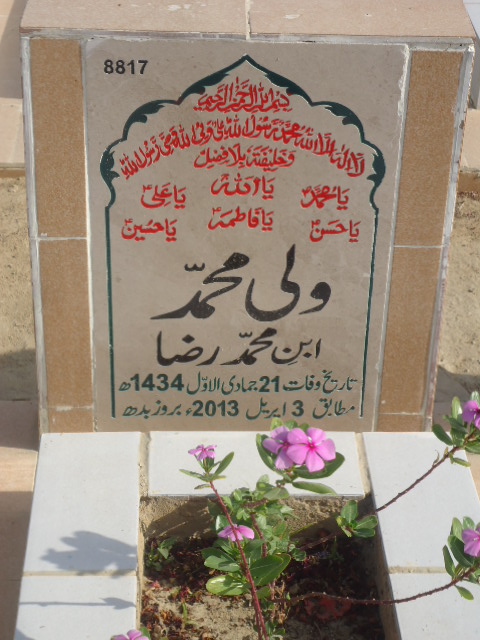 8817 – Wali Mohd