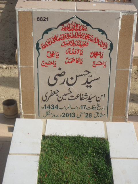 8821 – Syed Hasan Razi