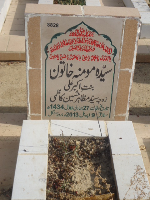 8828 – Syeda Momina Khatoon