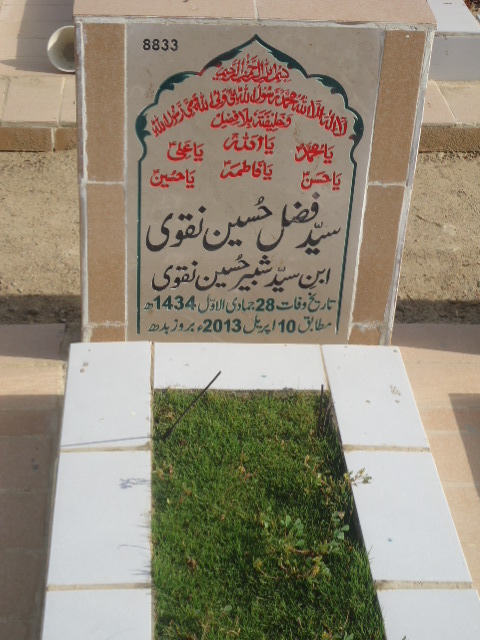 8833 – Syed Fazal Hussain Naqvi