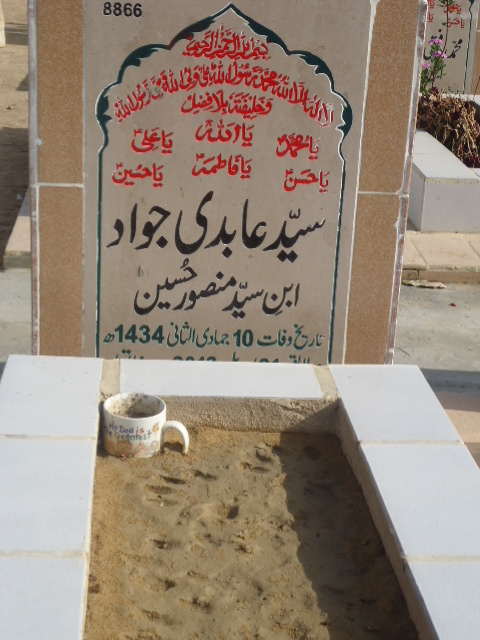 8866 – Syed Abidi Jawad