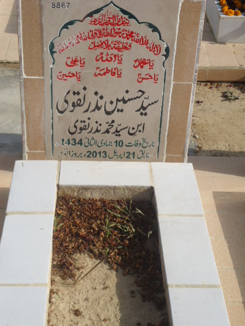 8867 – Syed Hasnain Nazar Naqvi