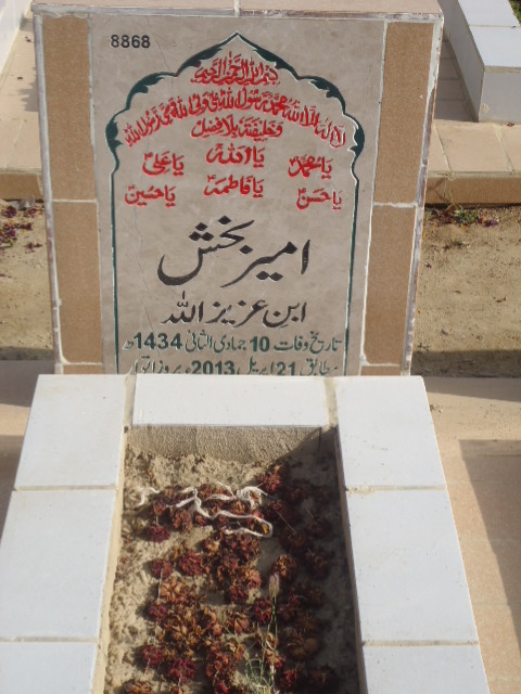 8868 – Ameer Baksh