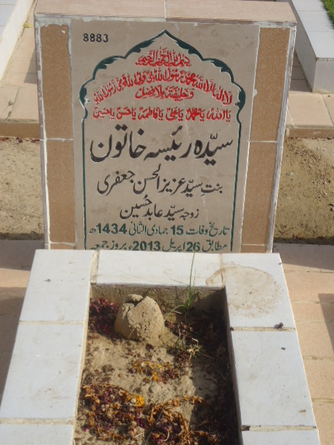 8883 – Syeda Raisa Khatoon