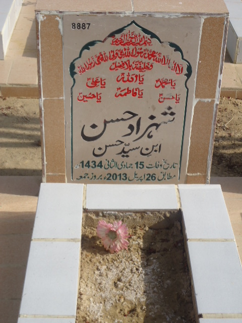 8887 – Shahzad Hasan