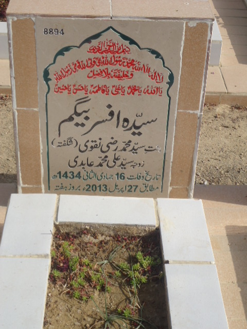8894 – Syeda Afsar Begum