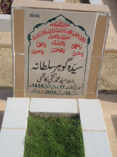 8896 – Syeda Gohar Sultana
