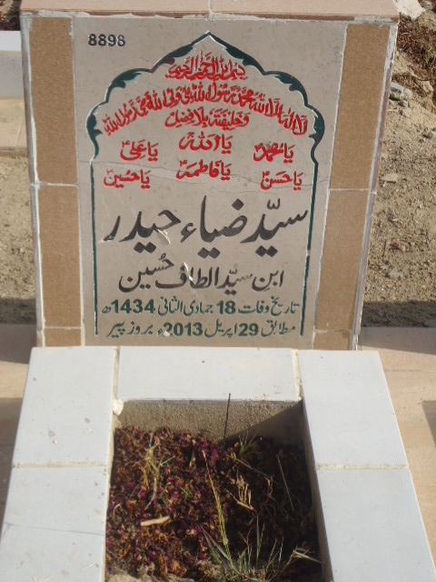 8898 – Syed Zia Haider