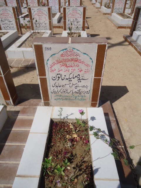 5909 – Syeda Malika Khatoon