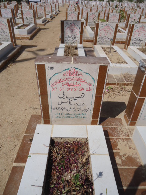 5910 – Naseeb B