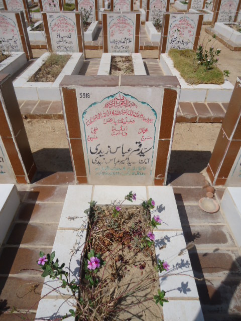 5918 – Syed Qamar Abbas zaidi