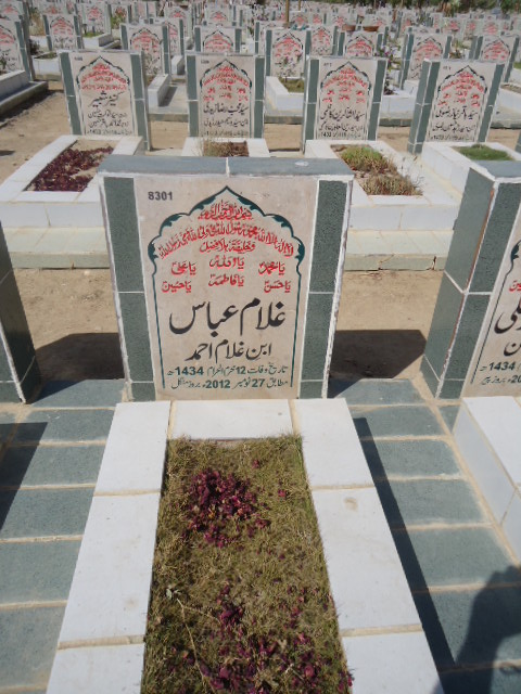8301 – Ghulam Abbas