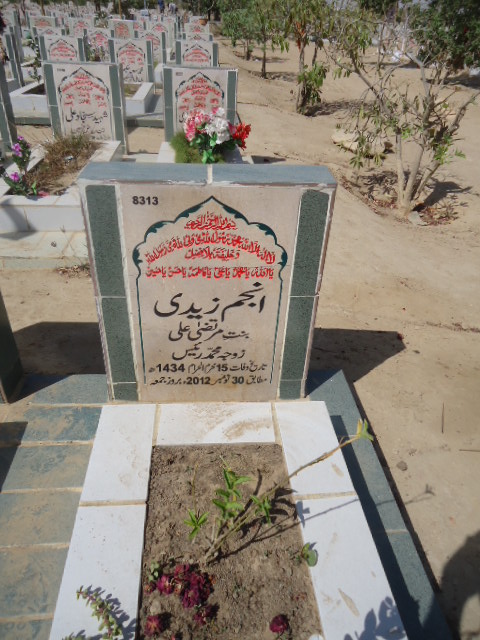 8313 – Anjum Zaidi