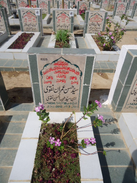 8325 – Syed Hasan Imran Naqvi