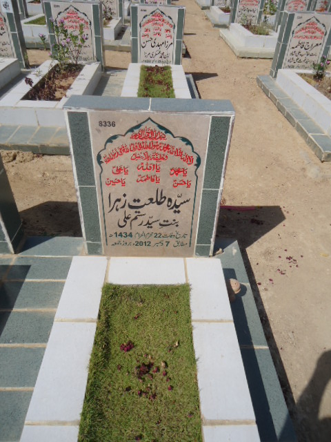 8336 – Syeda Talat Zehra