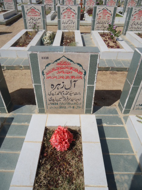 8338 – Alay Zehra