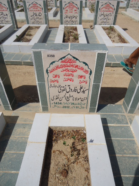 8350 – Syed Ali Farooq Naqvi