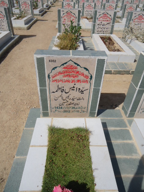 8352 – Syeda Anees Fatima