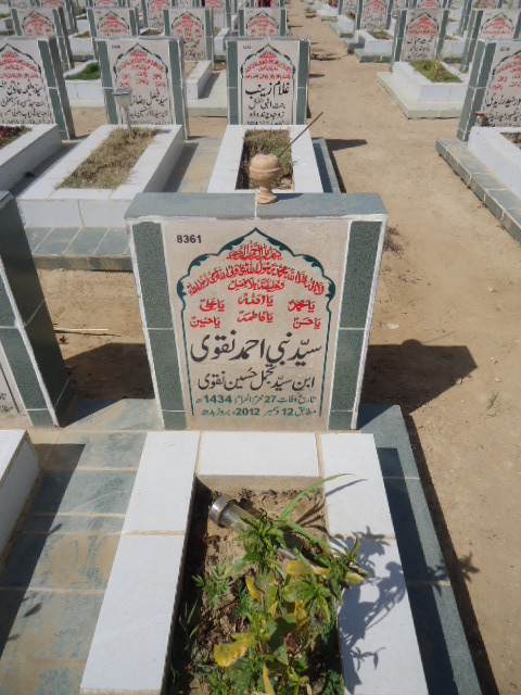 8361 – Syed Nabi Ahmed Naqvi