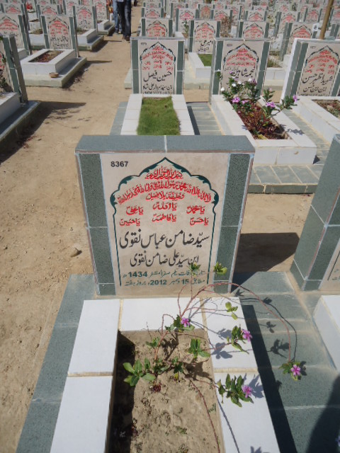 8367 – Syed Zamin Abbas Naqvi