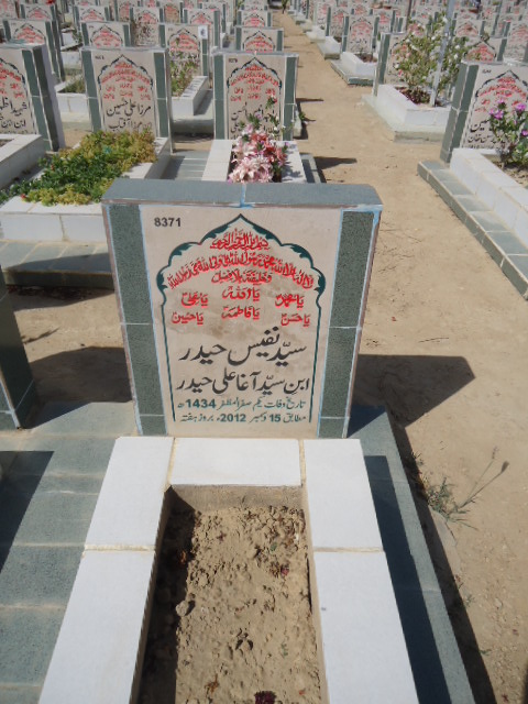 8371 – Syed Nafees Haider