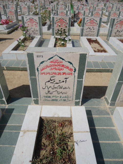 8373 – Amnaa Begum