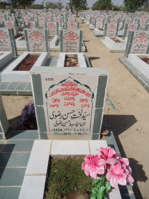 8376 – Syed Lakhtay Hasan Rizvi