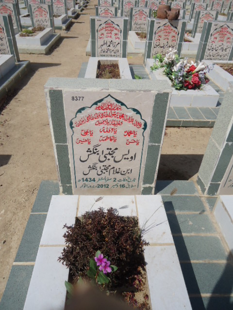 8377 – Owais Mujhtaba Bangash