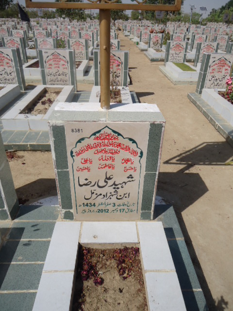 8381 – Shaheed Ali Raza