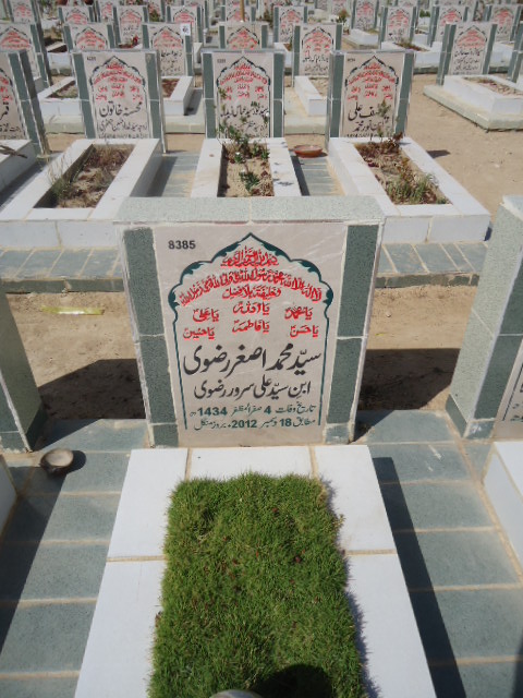 8385 – Syed Muhammad Asghar Rizvi