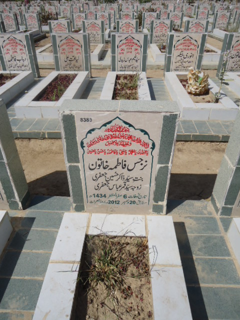 8389 – Narjis Fatima Khatoon