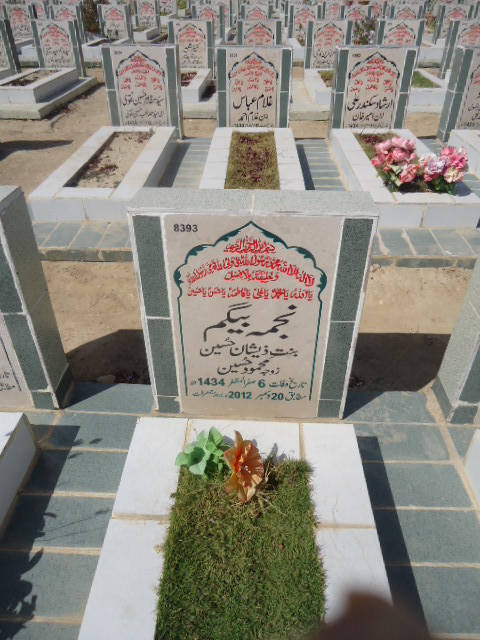 8393 – Najma Begum