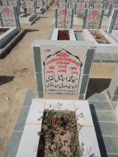 8398 – Syed Muhammad Ismail Naqvi