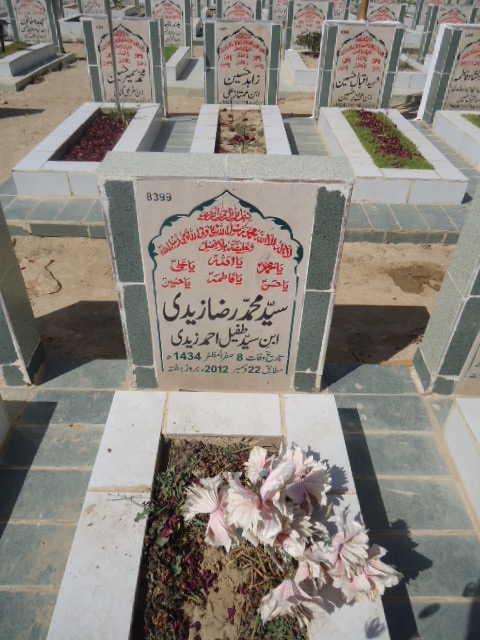 8399 – Syed Muhammad Raza Zaidi
