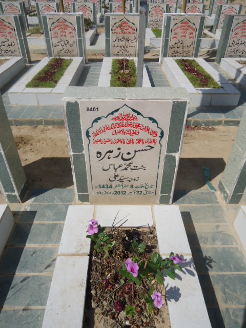 8401 – Hasan Zehra