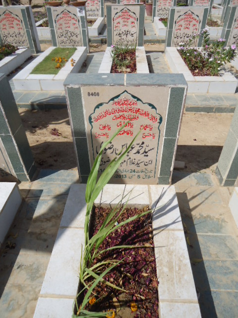 8408 – Syed Muhammad Abbas Rizvi