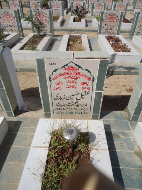8411 – Aqeel Hussain Zaidi