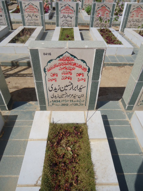 8416 – Syed Abrar Hussain Zaidi
