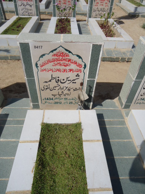 8417 – Shereen Fatima