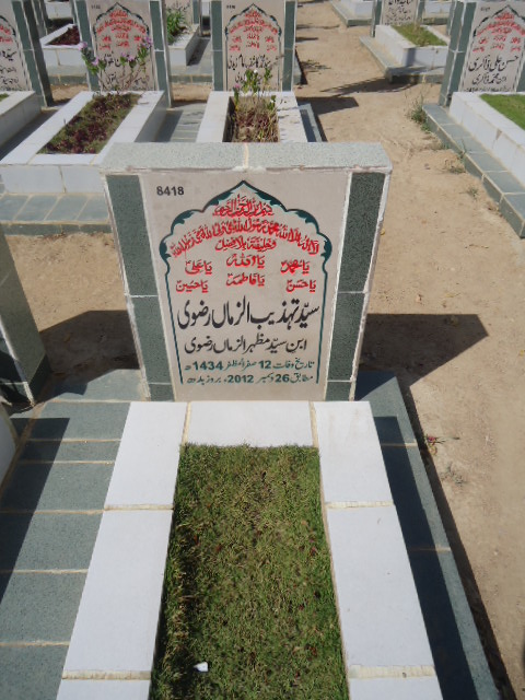 8418 – Syed Tehzeeb Uz Zama Rizvi